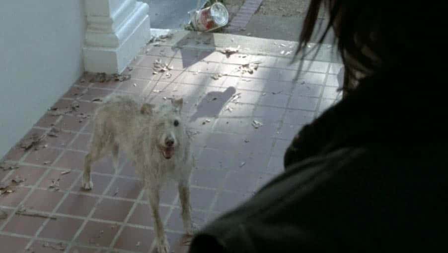 The Walking Dead Facts