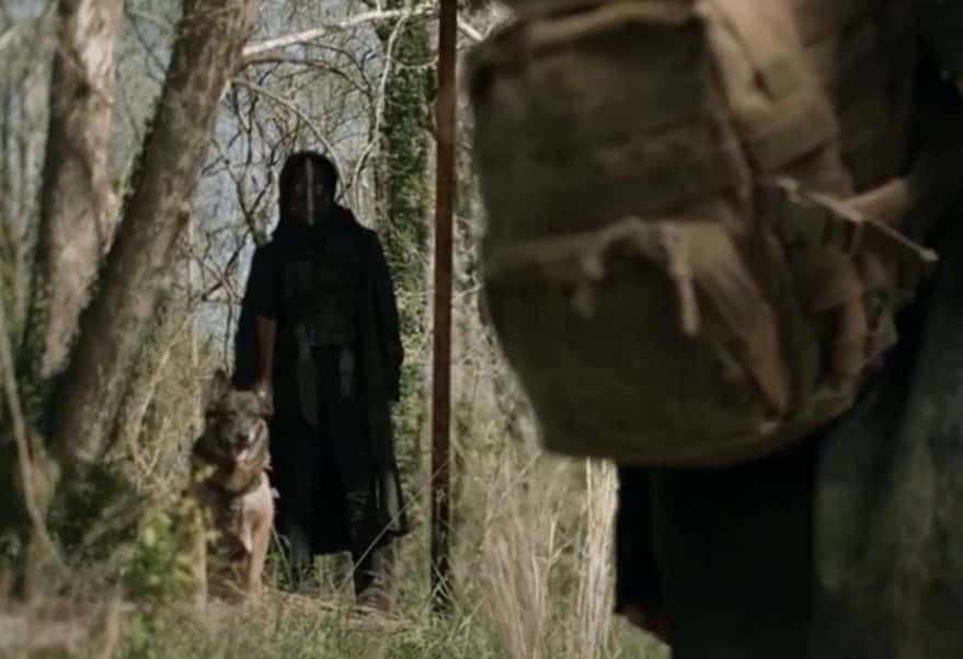 The Walking Dead facts