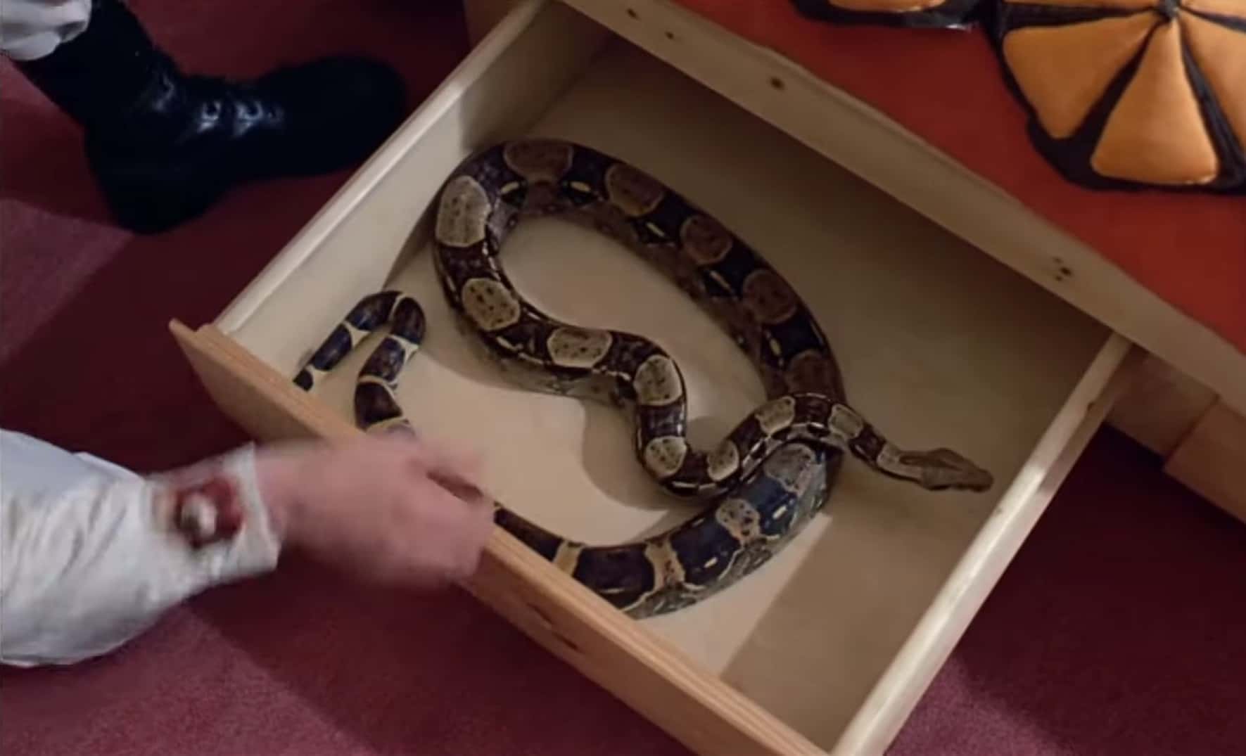 Facts About A Clockwork Orange