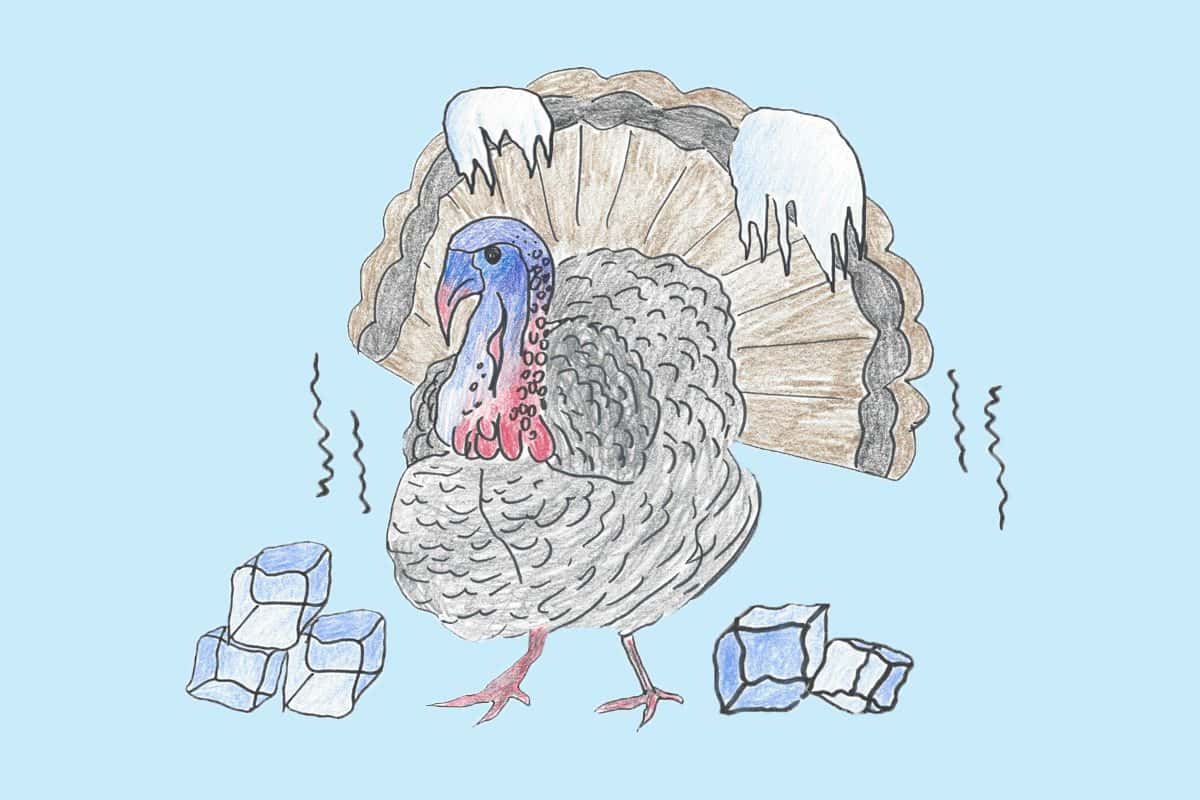 Common Sayings Origins Facts