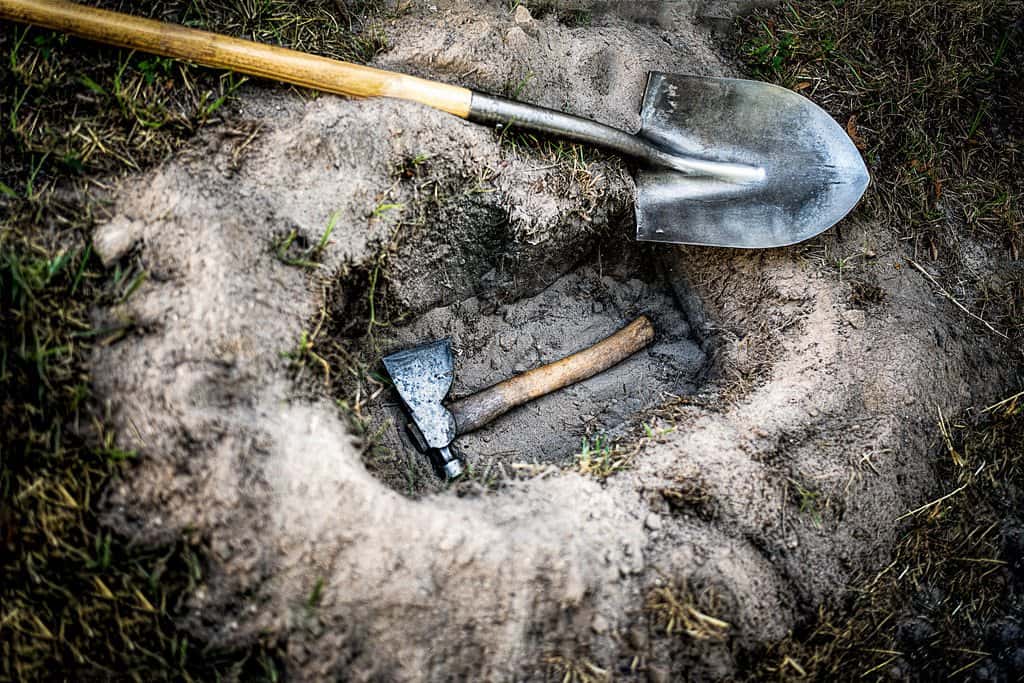 Common Sayings Origins Facts