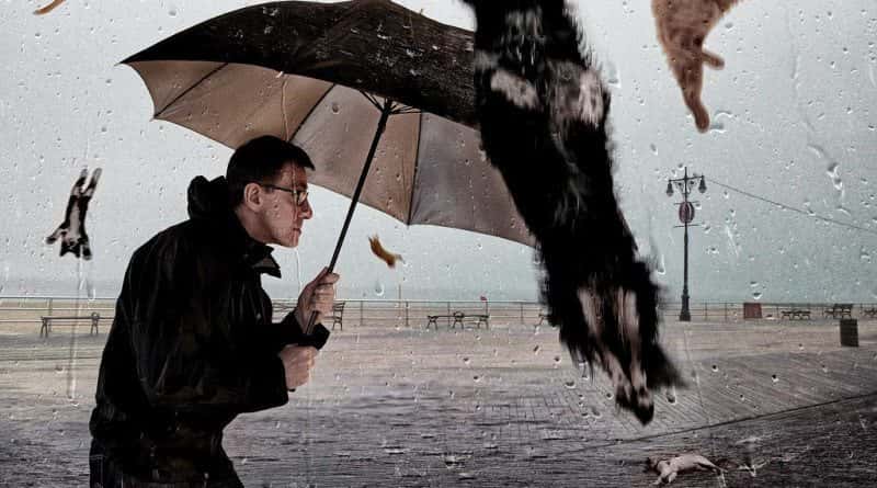 Common Sayings Origins Facts