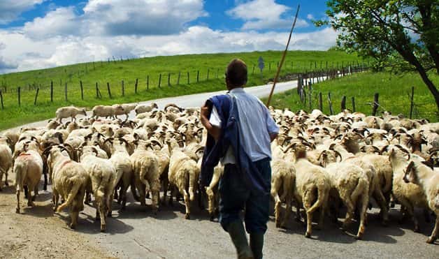 Common Sayings Origins Facts