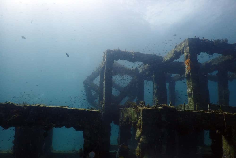 Ancient Civilizations Facts