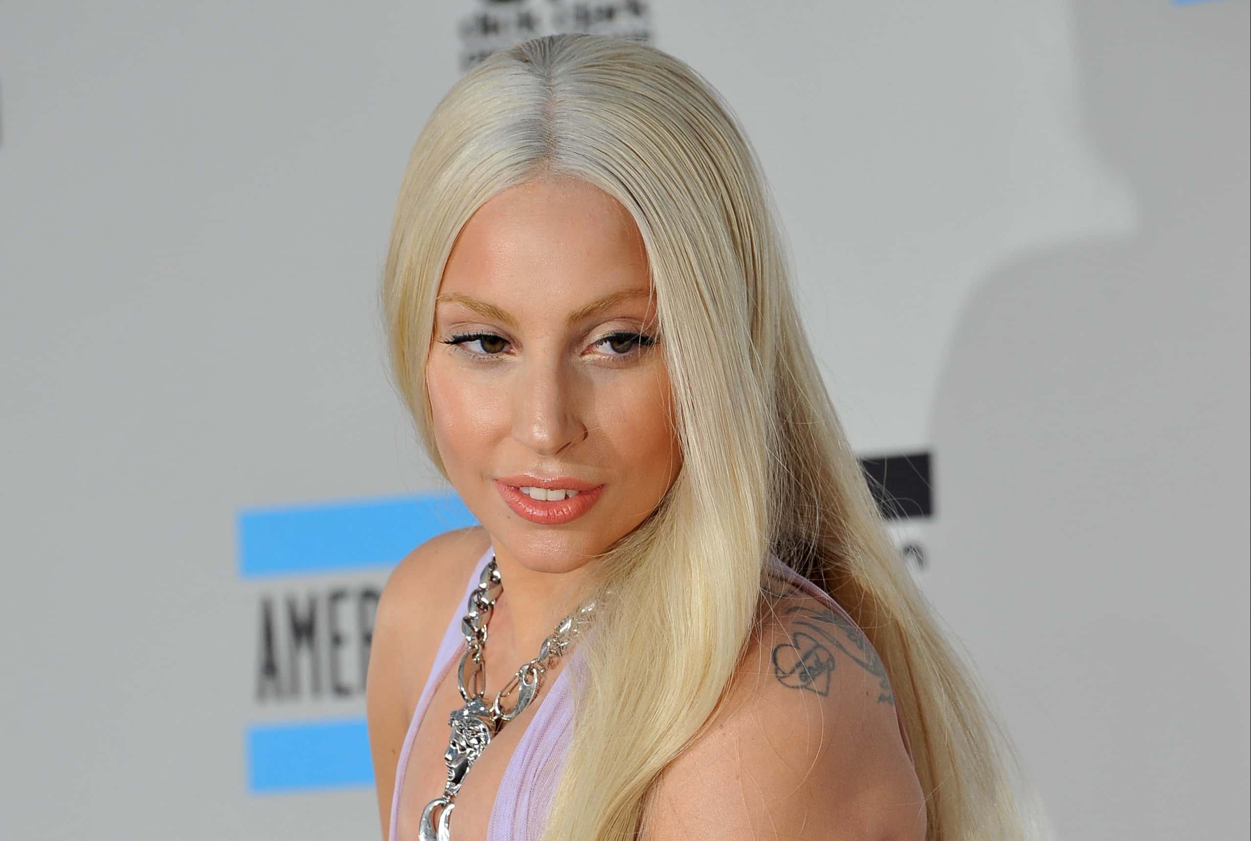 Lady Gaga at the 2013 American Music Awards