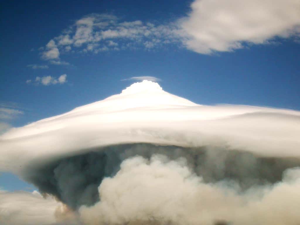 Natural Disasters Facts