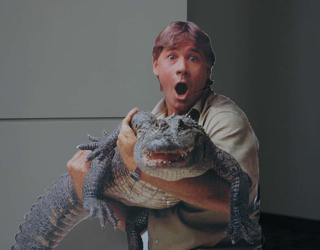 Steve Irwin Facts