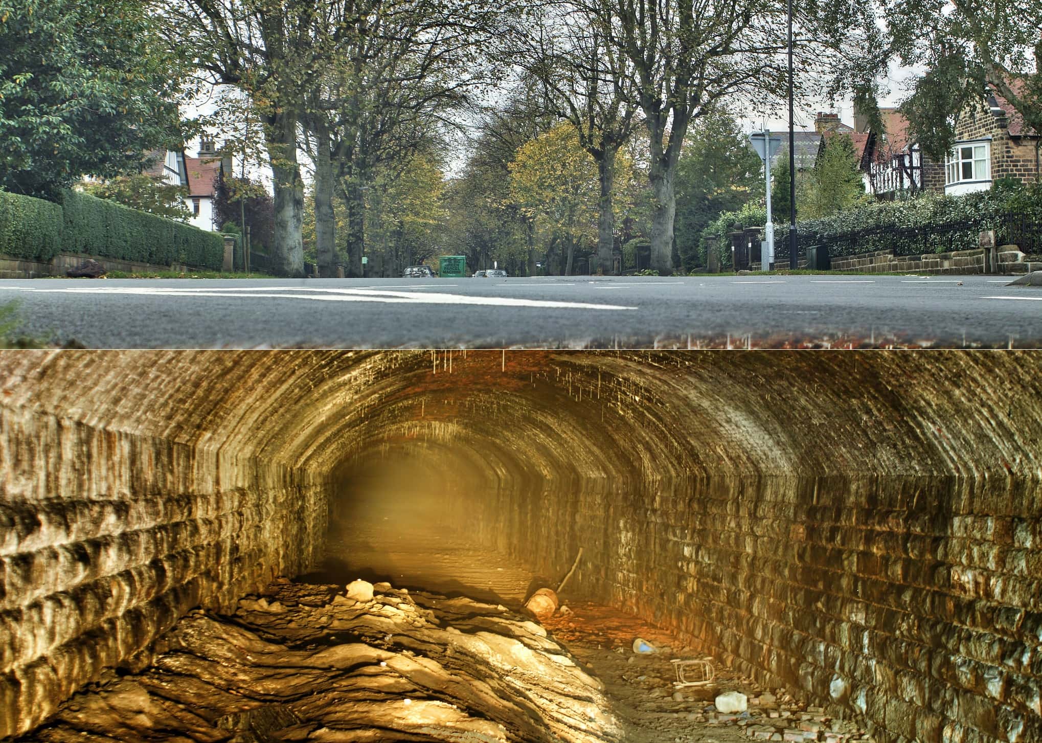 Bank Robberies Facts