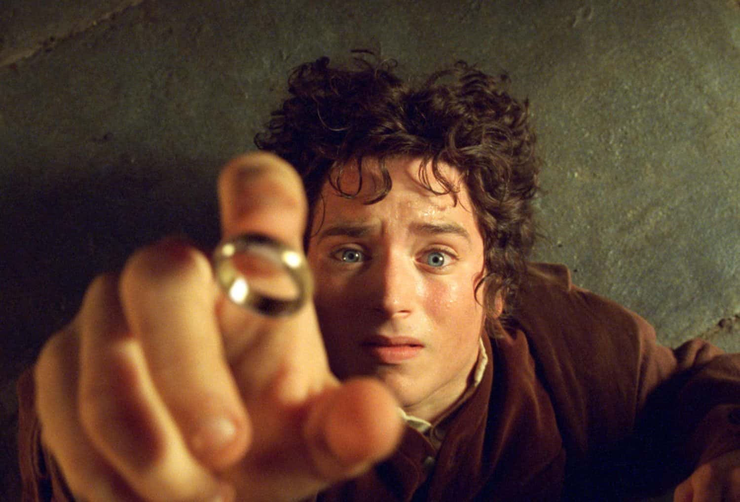 Lord Of The Rings Fellowship Of The Ring Facts