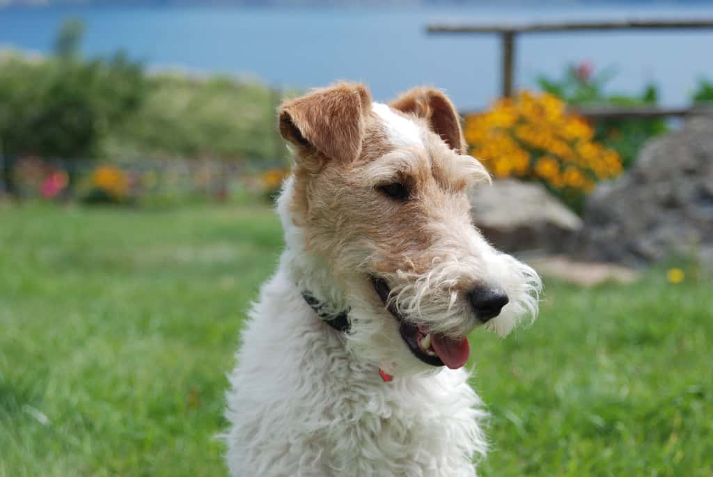 American Revolution facts