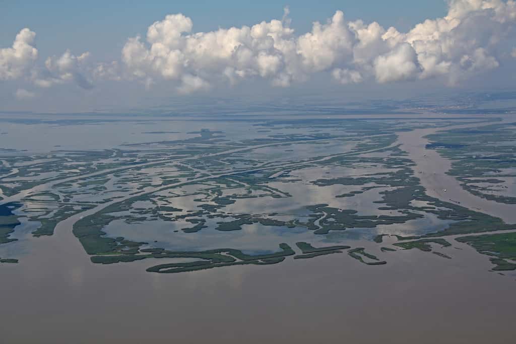 Natural Disasters Facts