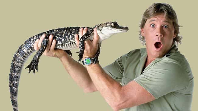 Steve Irwin facts