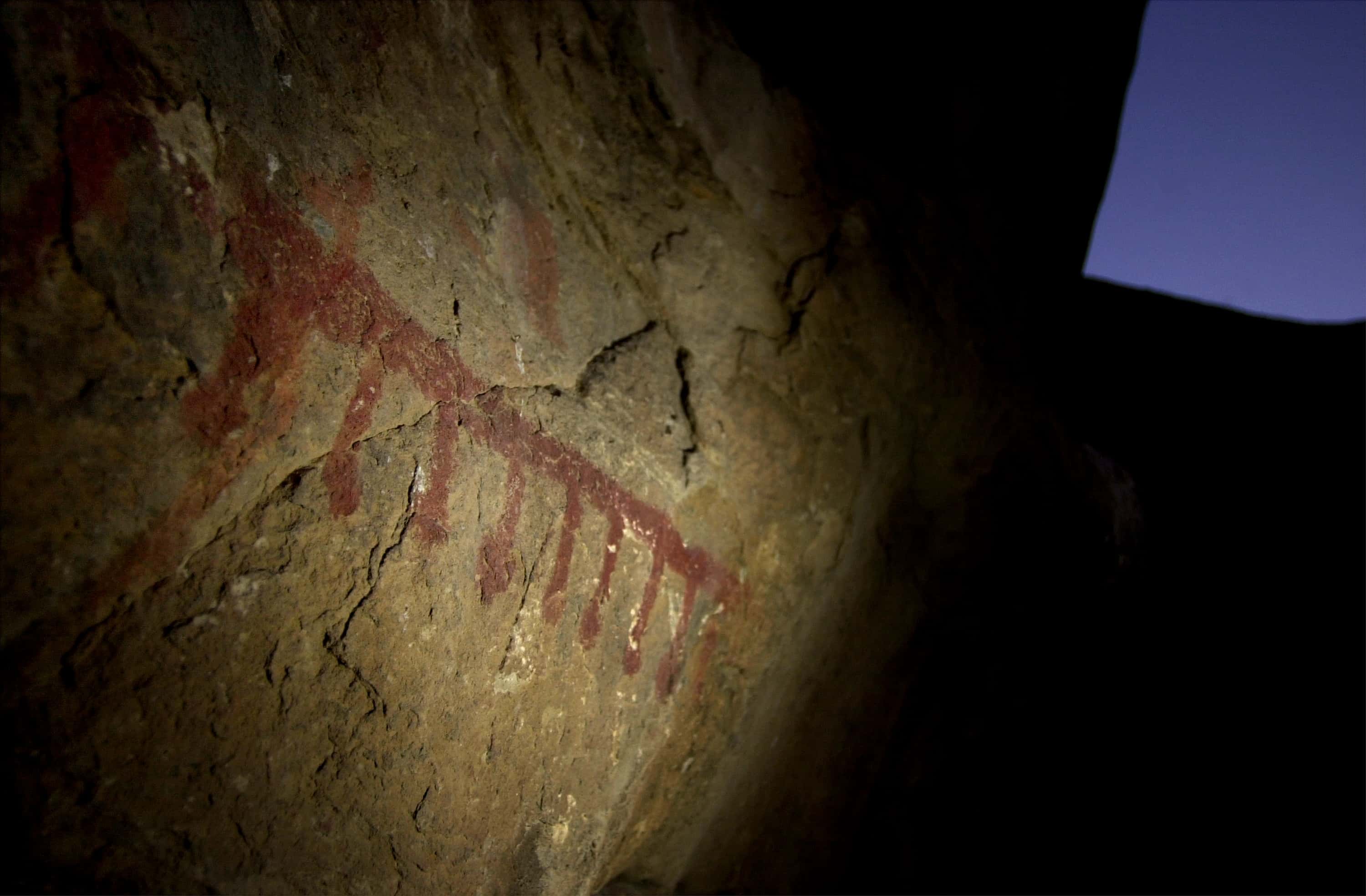 Human Evolution facts