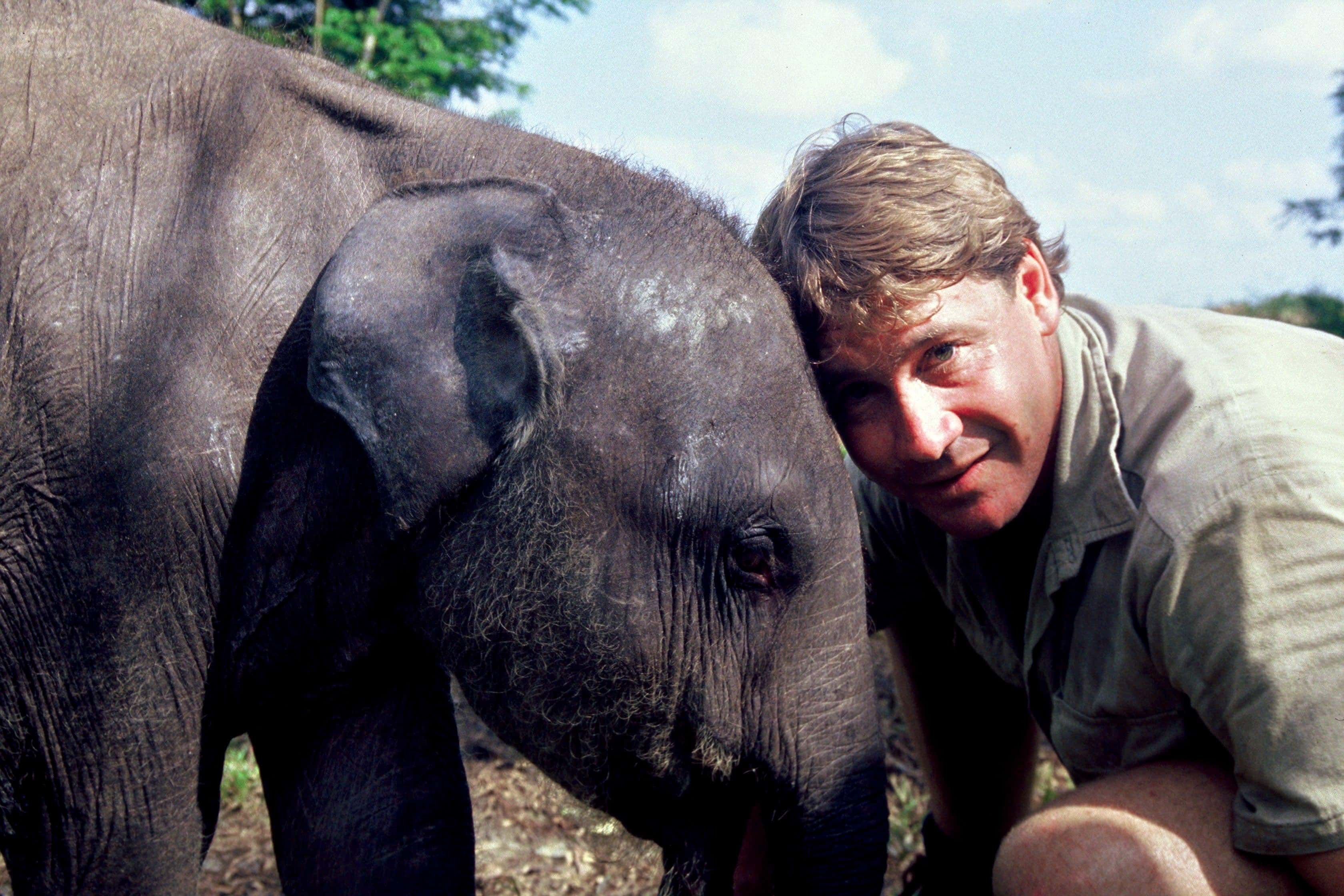 Steve Irwin Facts