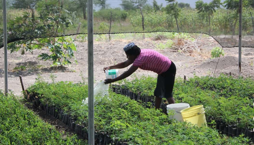 Global Warming Facts