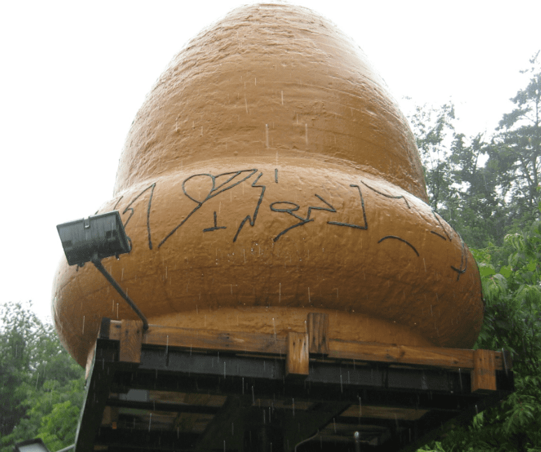 Unsolved Mysteries Facts