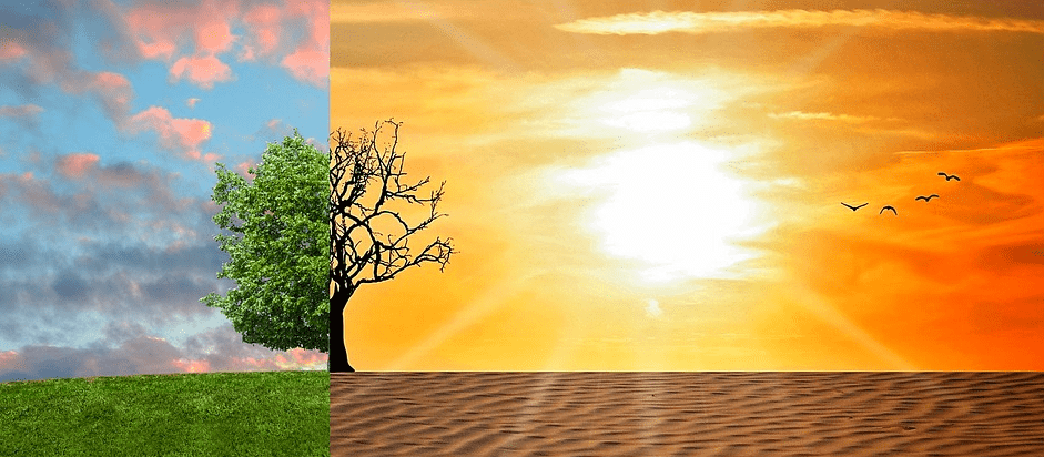 Global Warming Facts