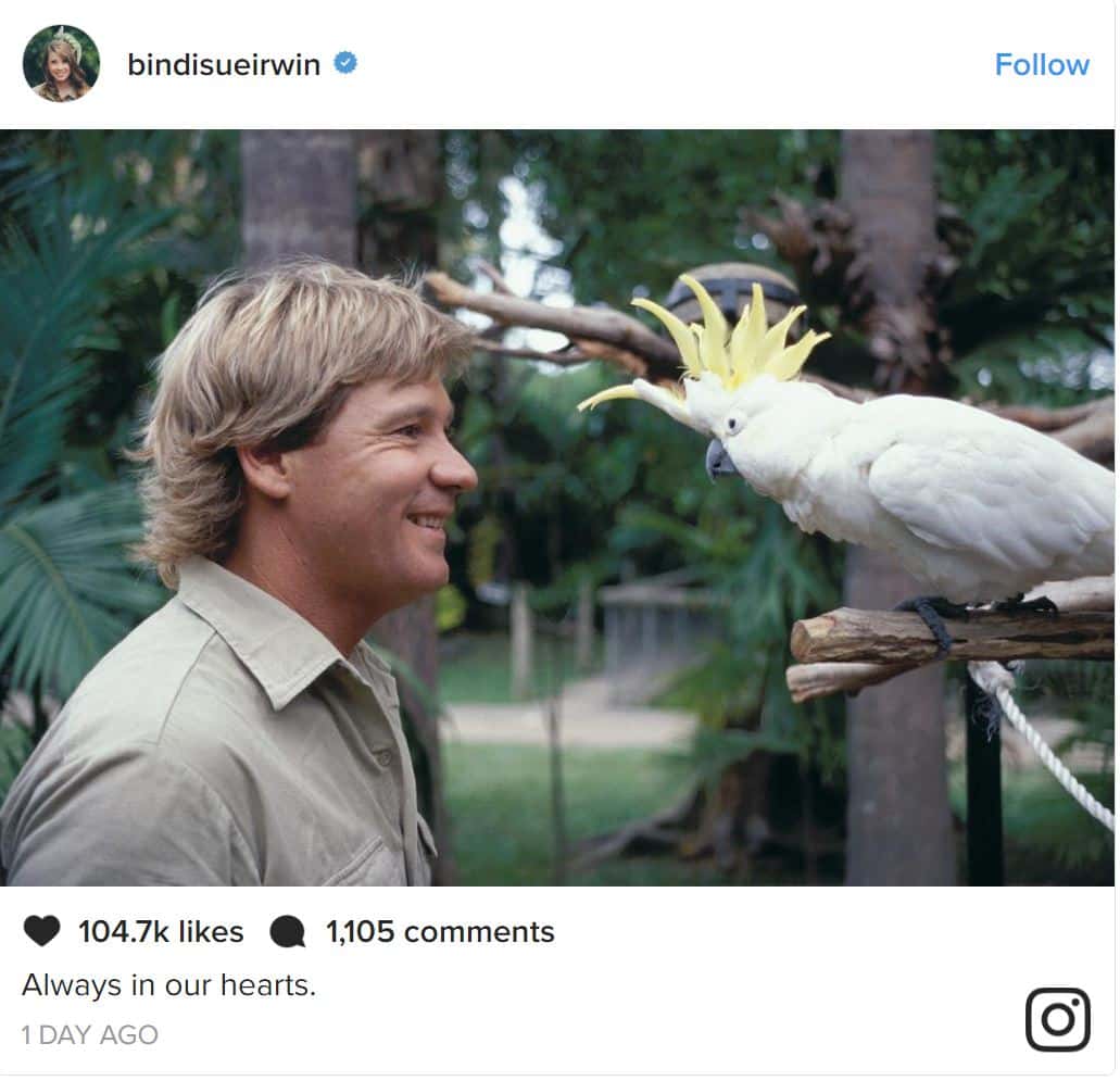 Steve Irwin facts