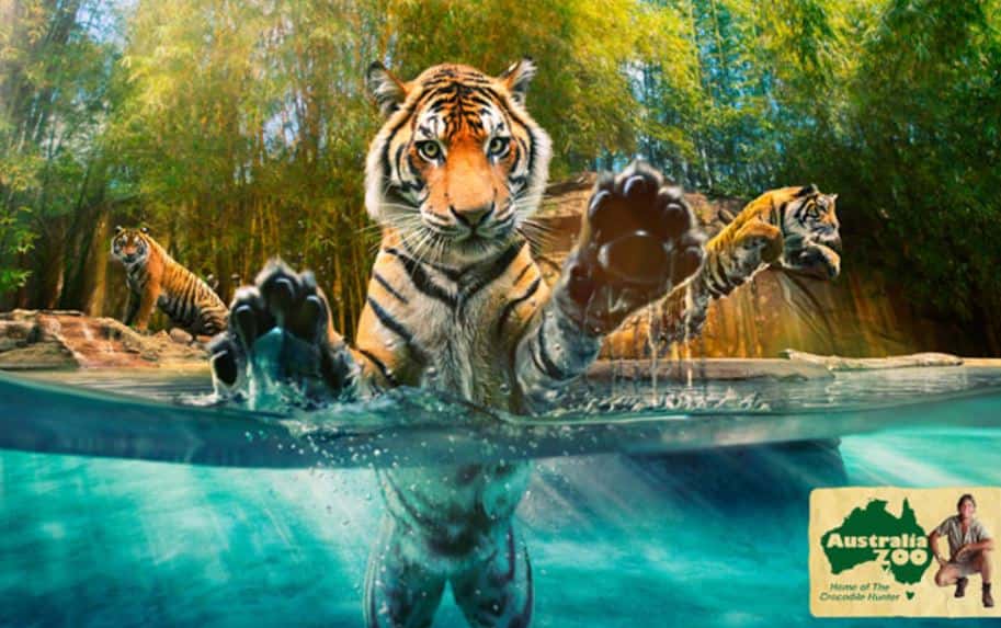 Steve Irwin facts Australia Zoo