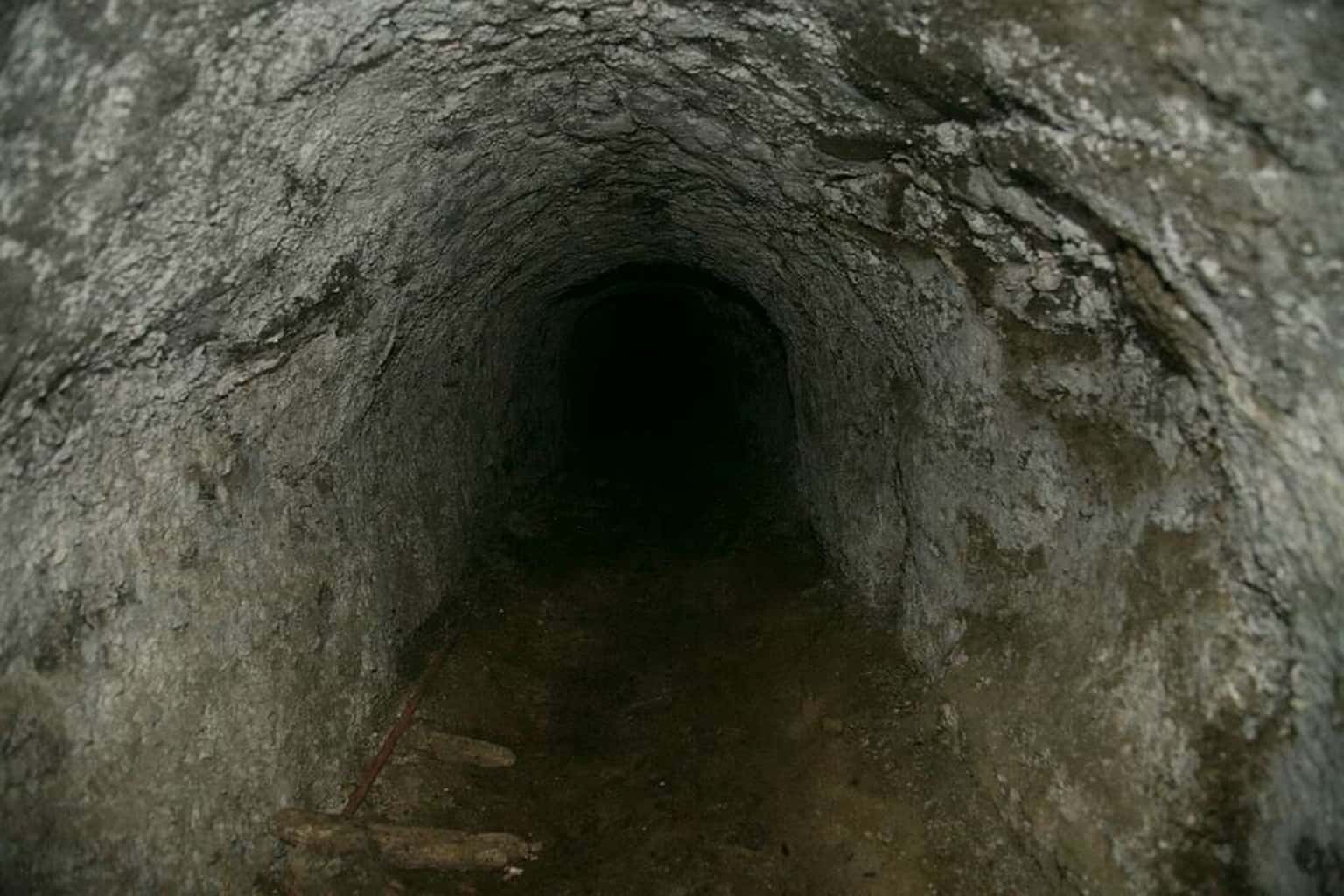 Bank Robberies Facts