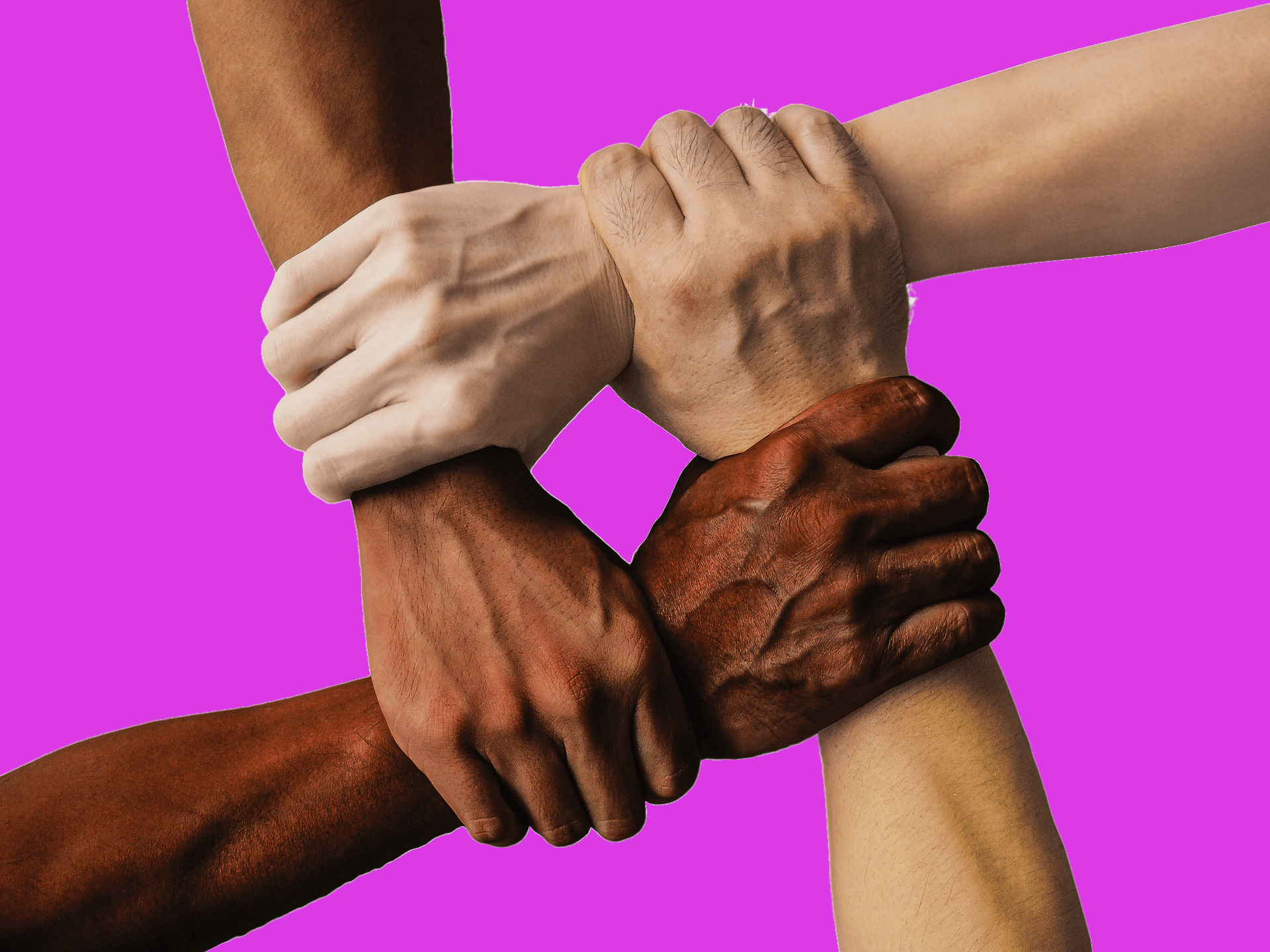 Human Evolution facts 