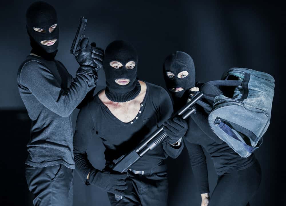 Bank Robberies Facts