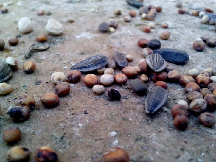 Unsolved Mysteries Facts