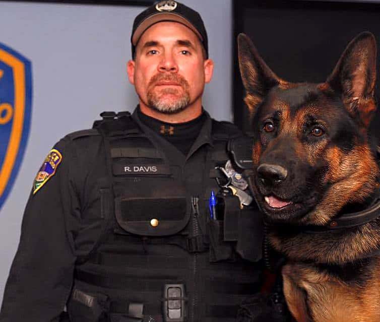 Frivolous Lawsuits facts