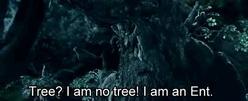 The Lord of the Rings: The Two Towers facts