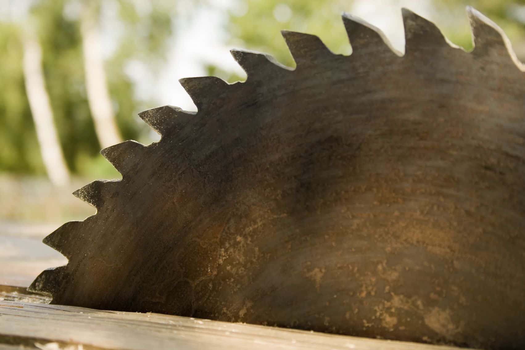 Frivolous Lawsuits facts