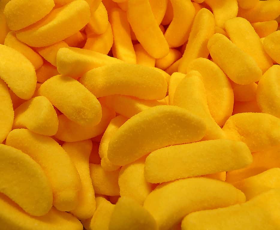 Facts to Make You Smartest Person in the Room