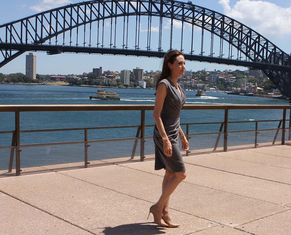 Angelina Jolie facts