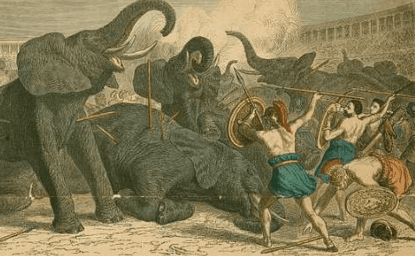 Roman Gladiators Facts