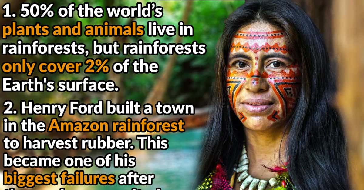 6 THINGS YOU DIDN T KNOW ABOUT RAINFORESTS visual data 7