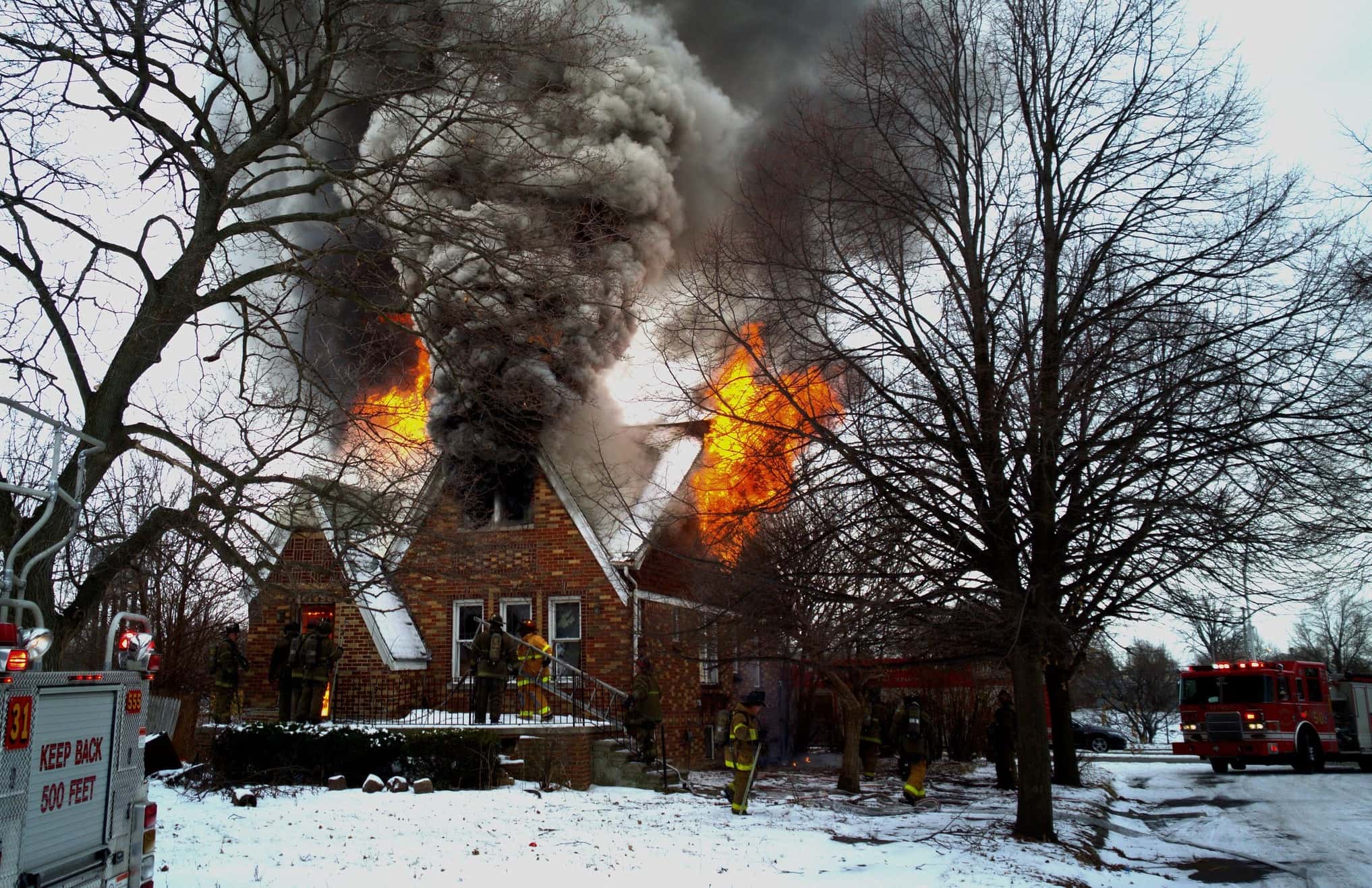 Festive Facts About Christmas