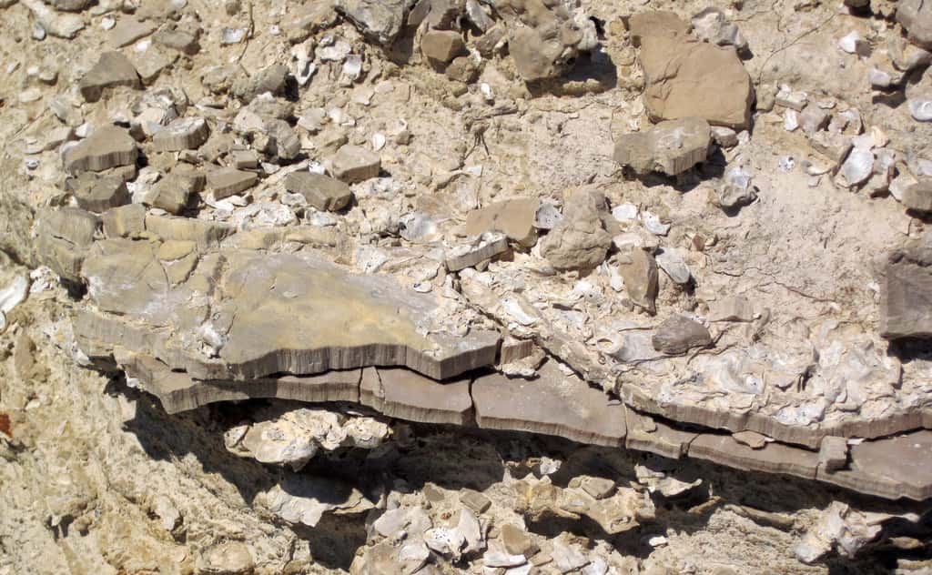 Historical Artifacts Facts