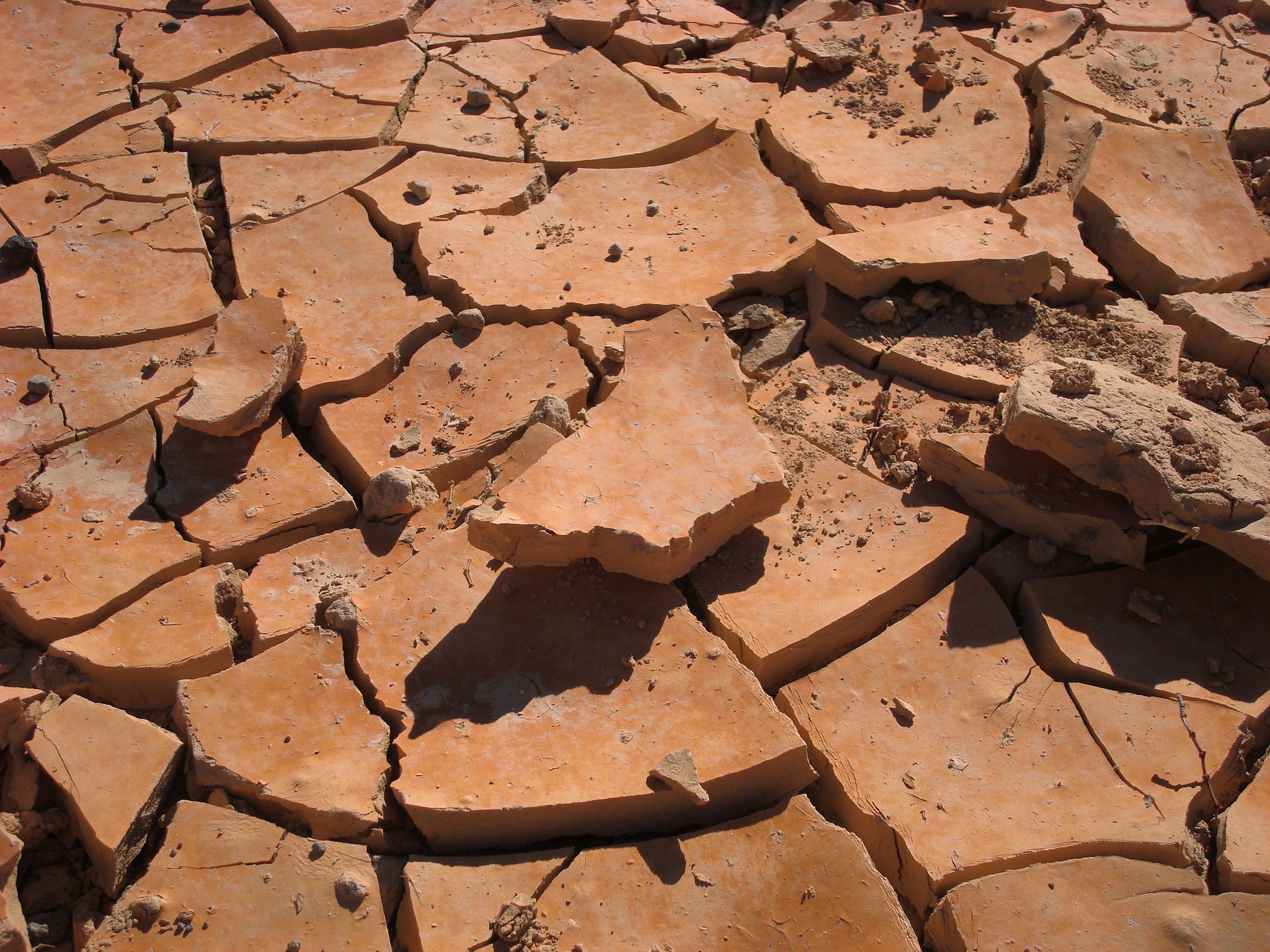 Sickening Medical Practices