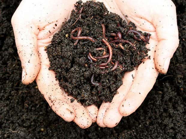 Sickening Medical Practices facts