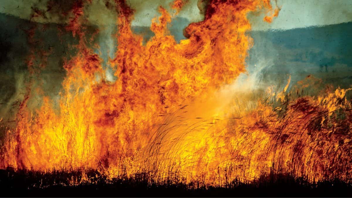 Biggest Mistakes facts