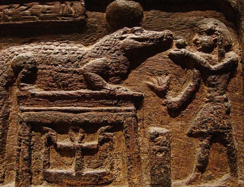 Sickening Medical Practices facts