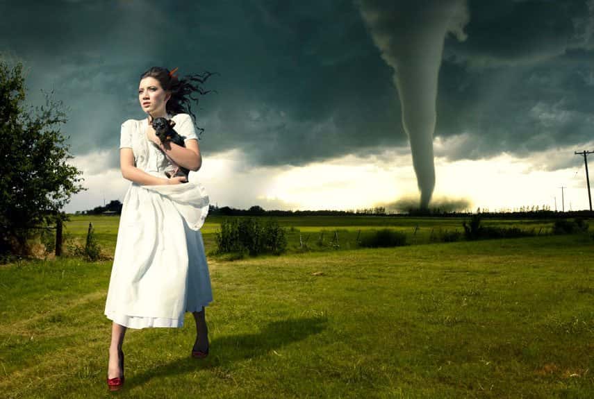 Differences Between Men and Women facts