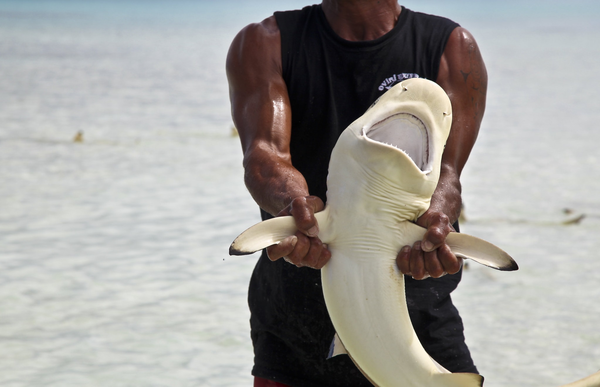 Sickening Medical Practices