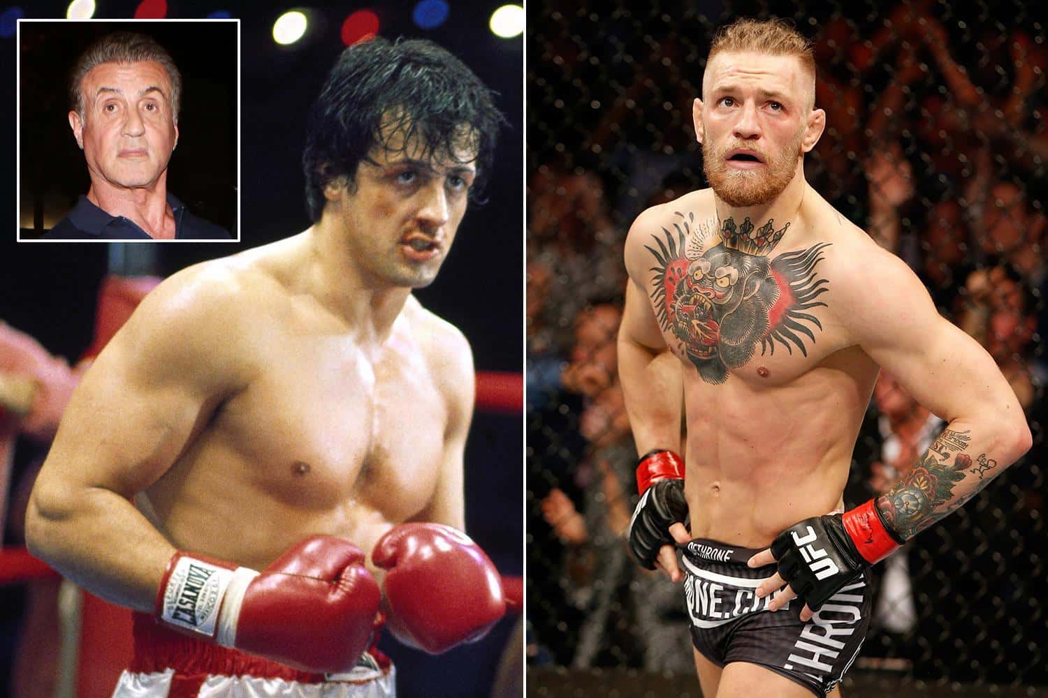 Conor McGregor facts