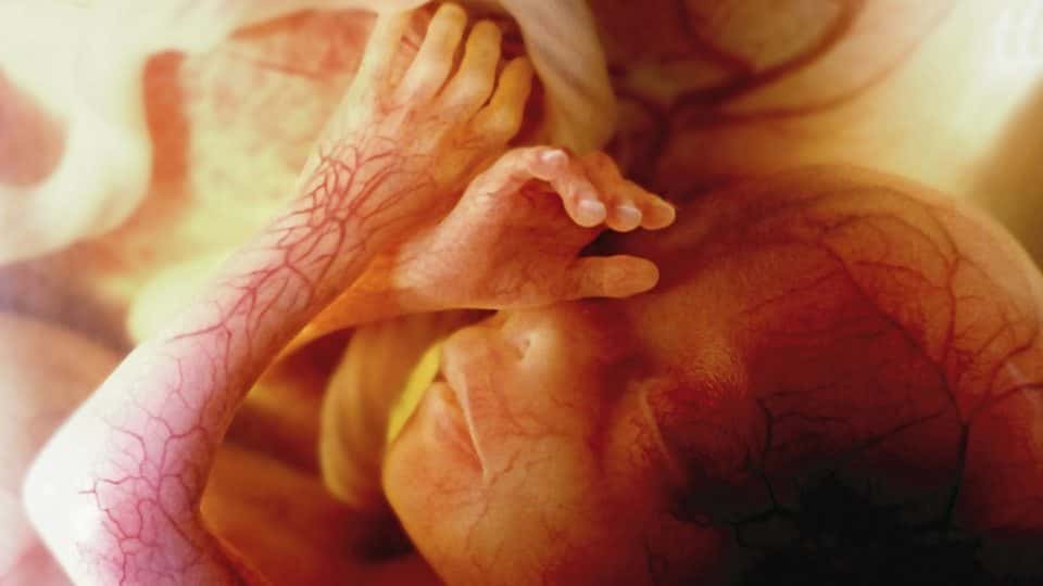 Differences Between Men and Women facts