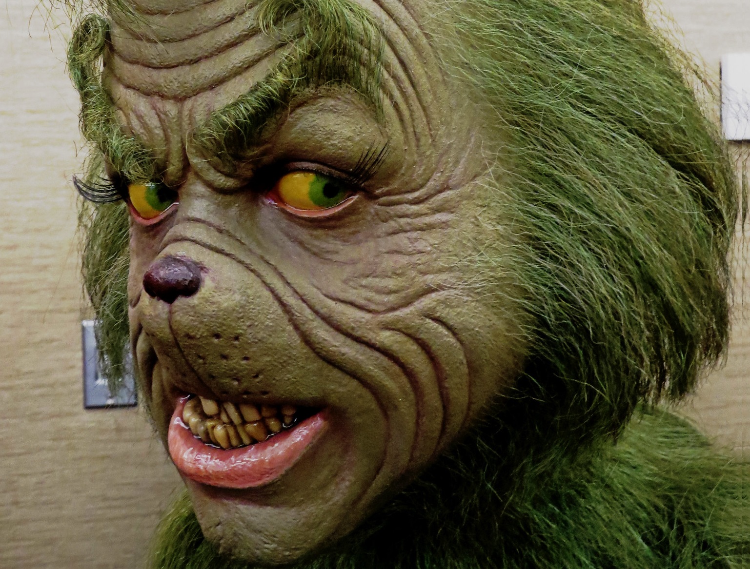 Festive Facts About Christmas