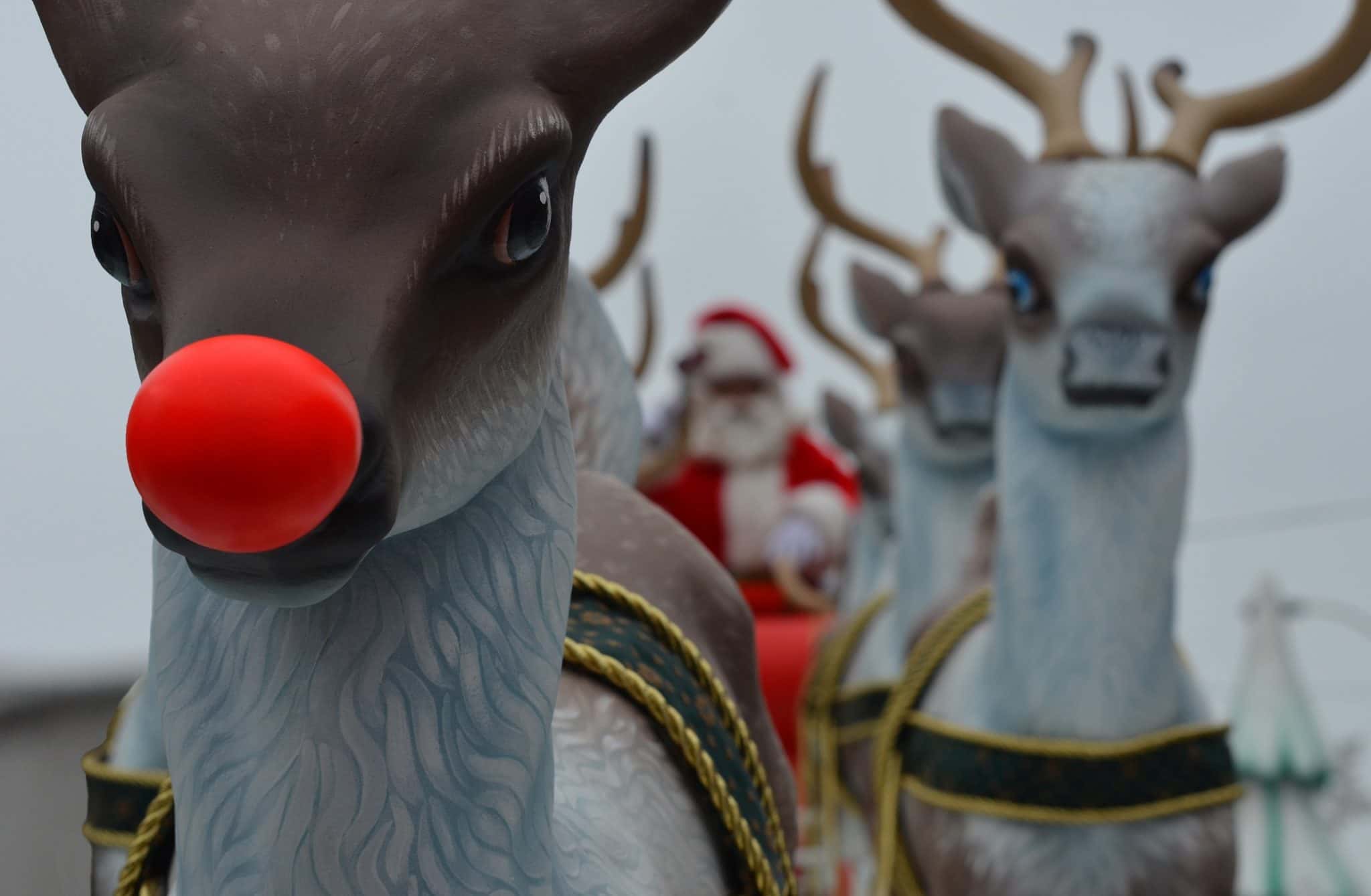 Festive Facts About Christmas