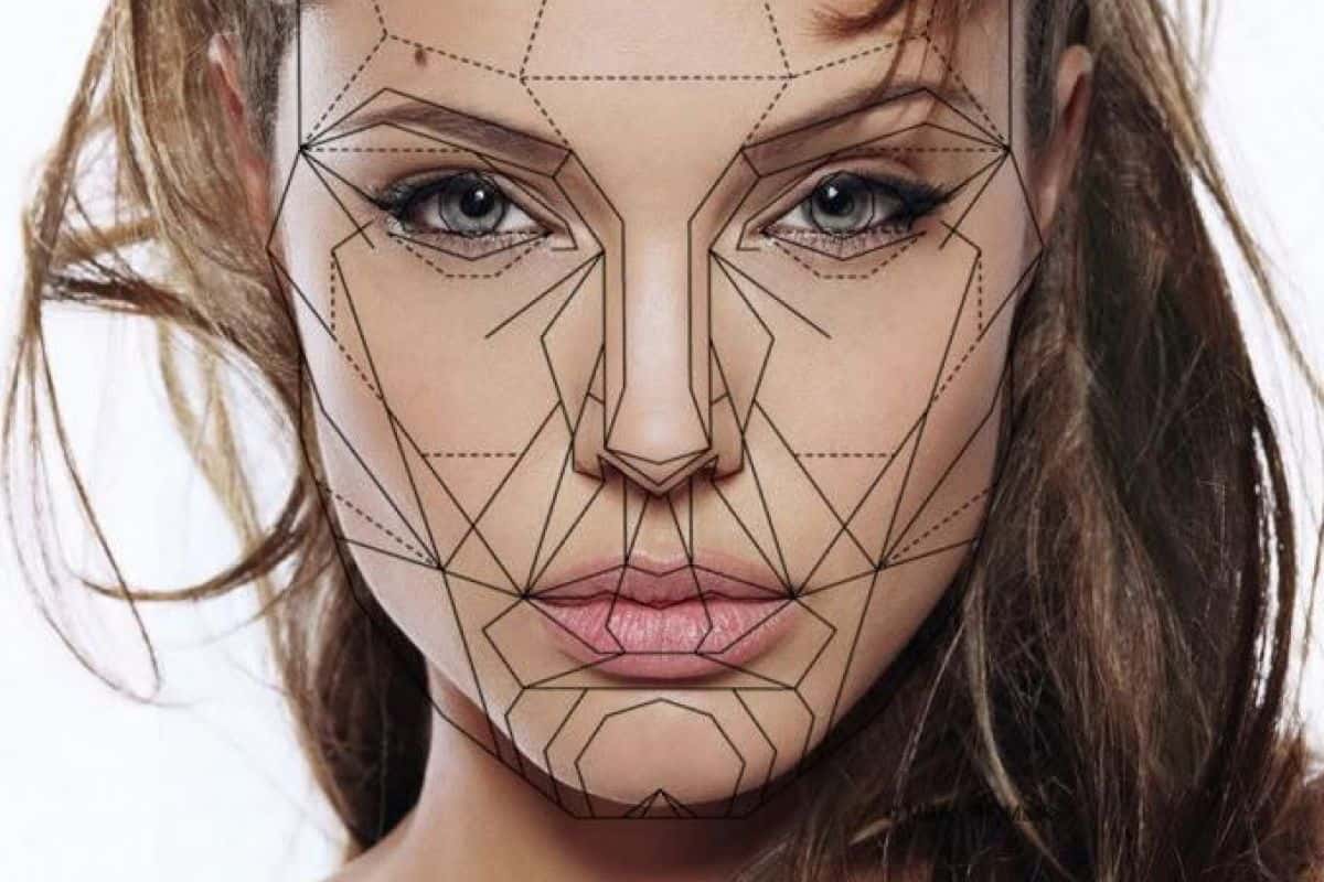 Human Attraction facts 