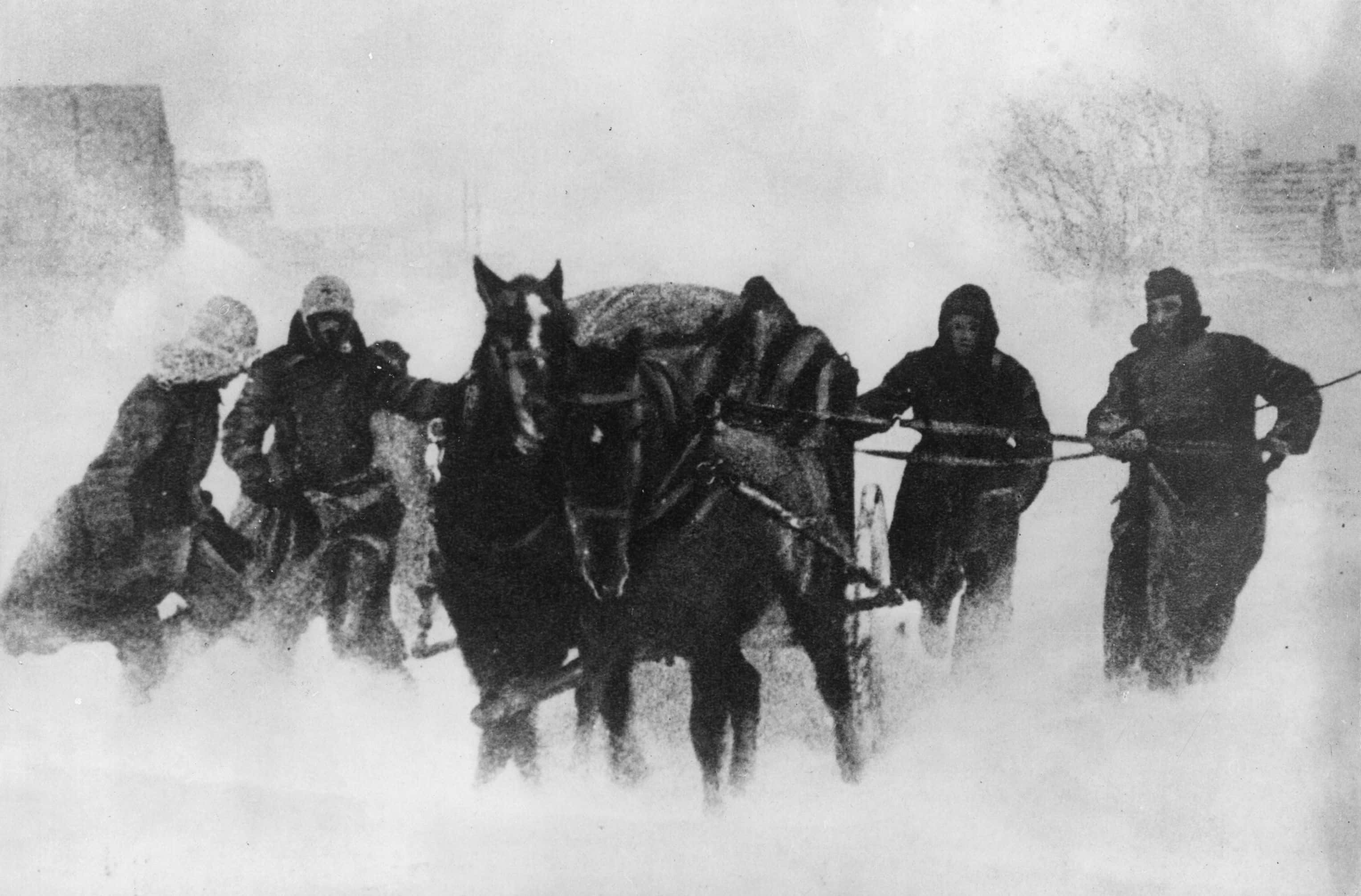 Biggest Screw Ups by Government Agencies facts