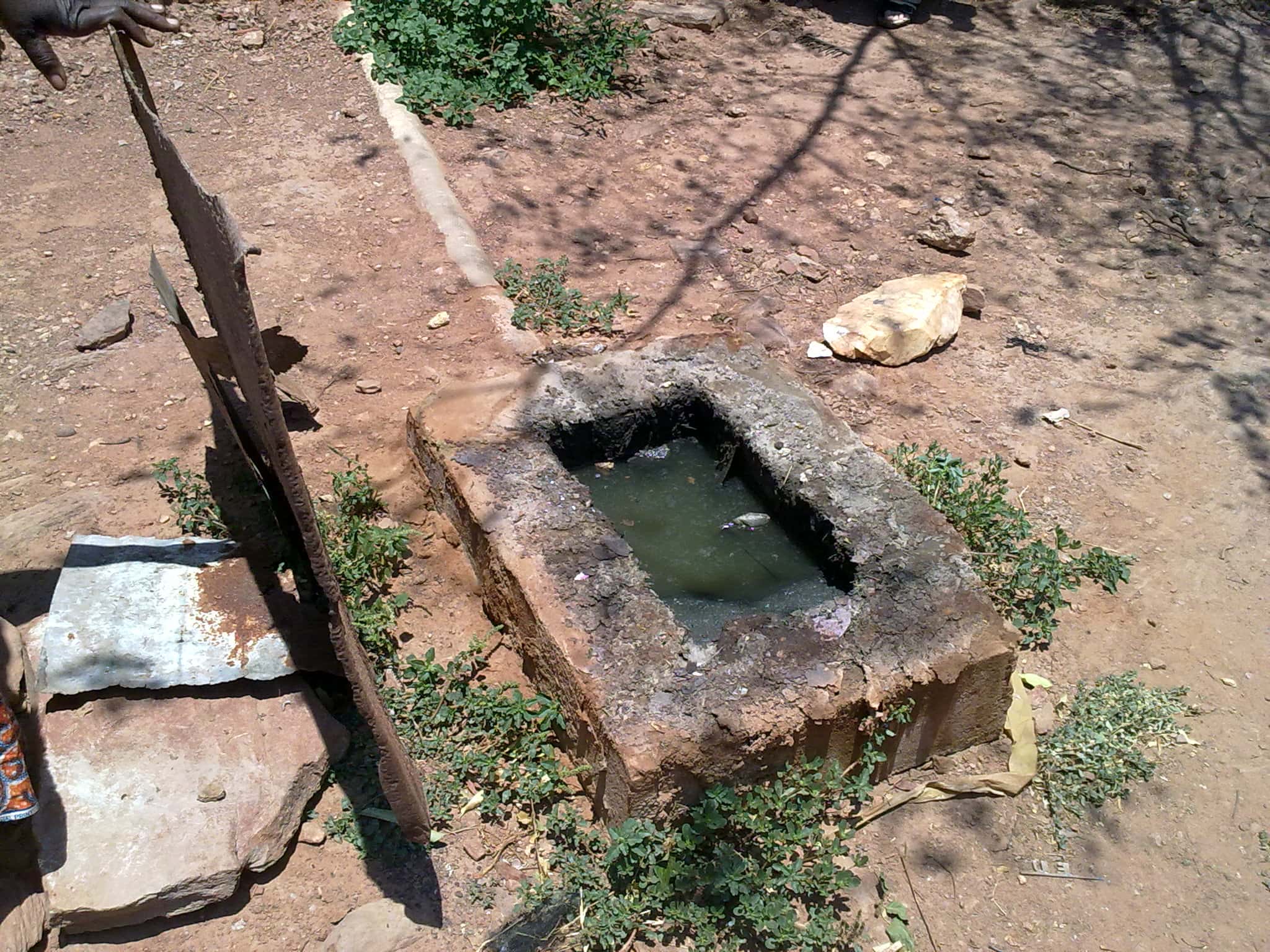 Unusual Deaths Facts