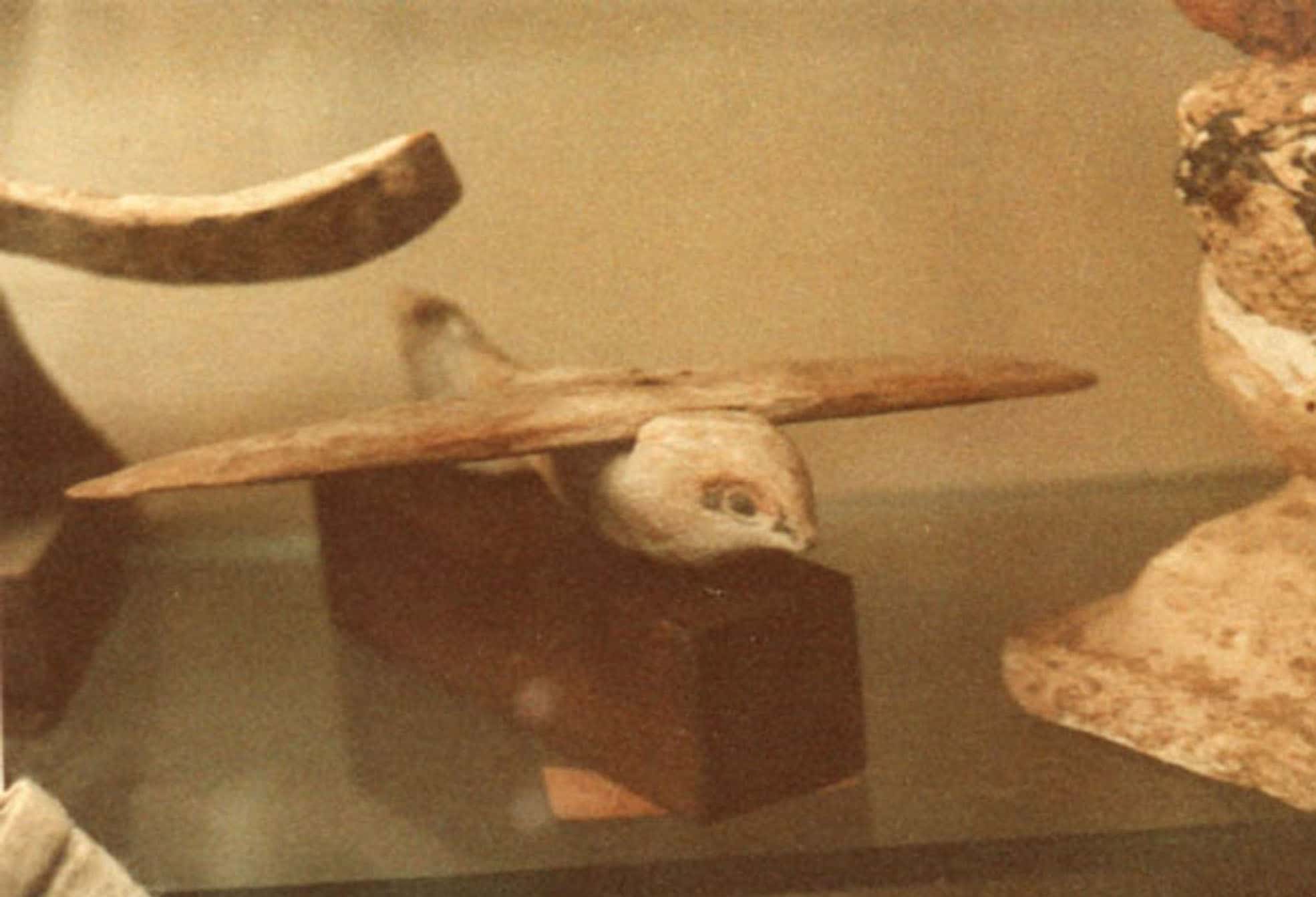 Historical Artifacts Facts